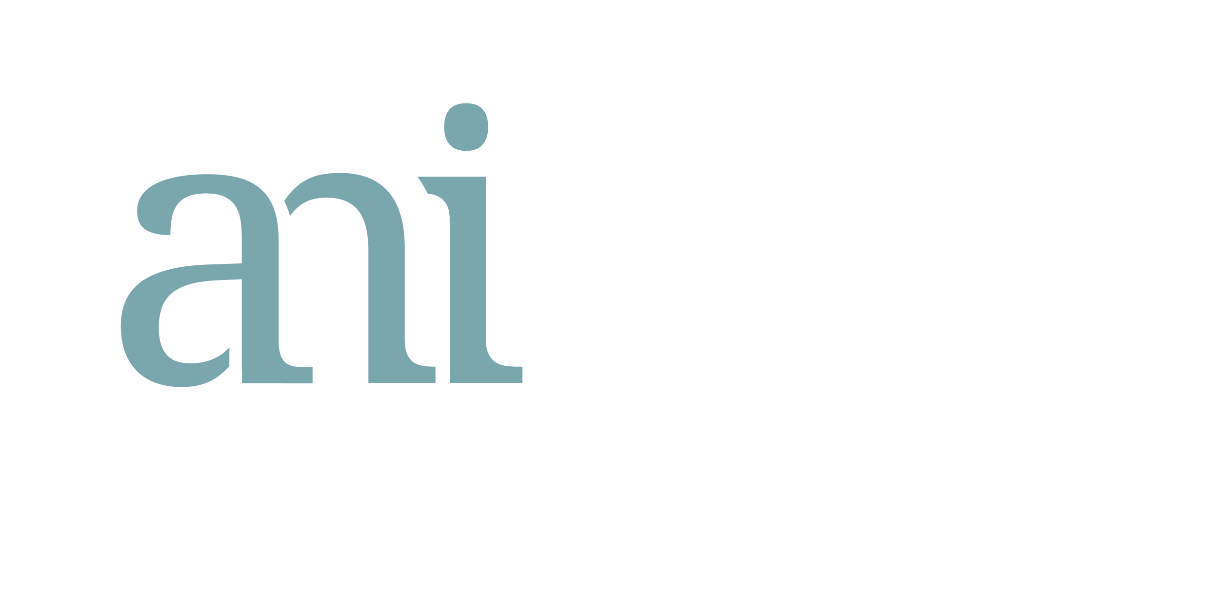 Atlanta Neuroscience Institute_Final_Logo_white text