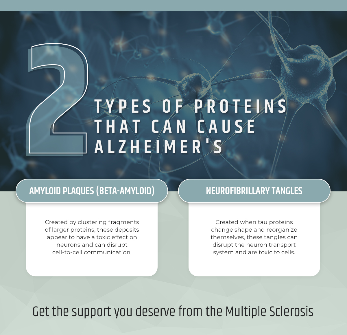 M33651 - Multiple Sclerosis Center of Atlanta_Infographic_The Two Types of Proteins That Can Cause Alzheimers (1)
