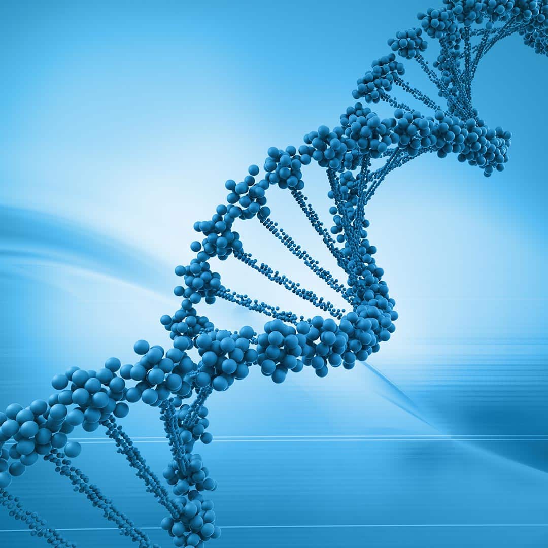 DNA strand