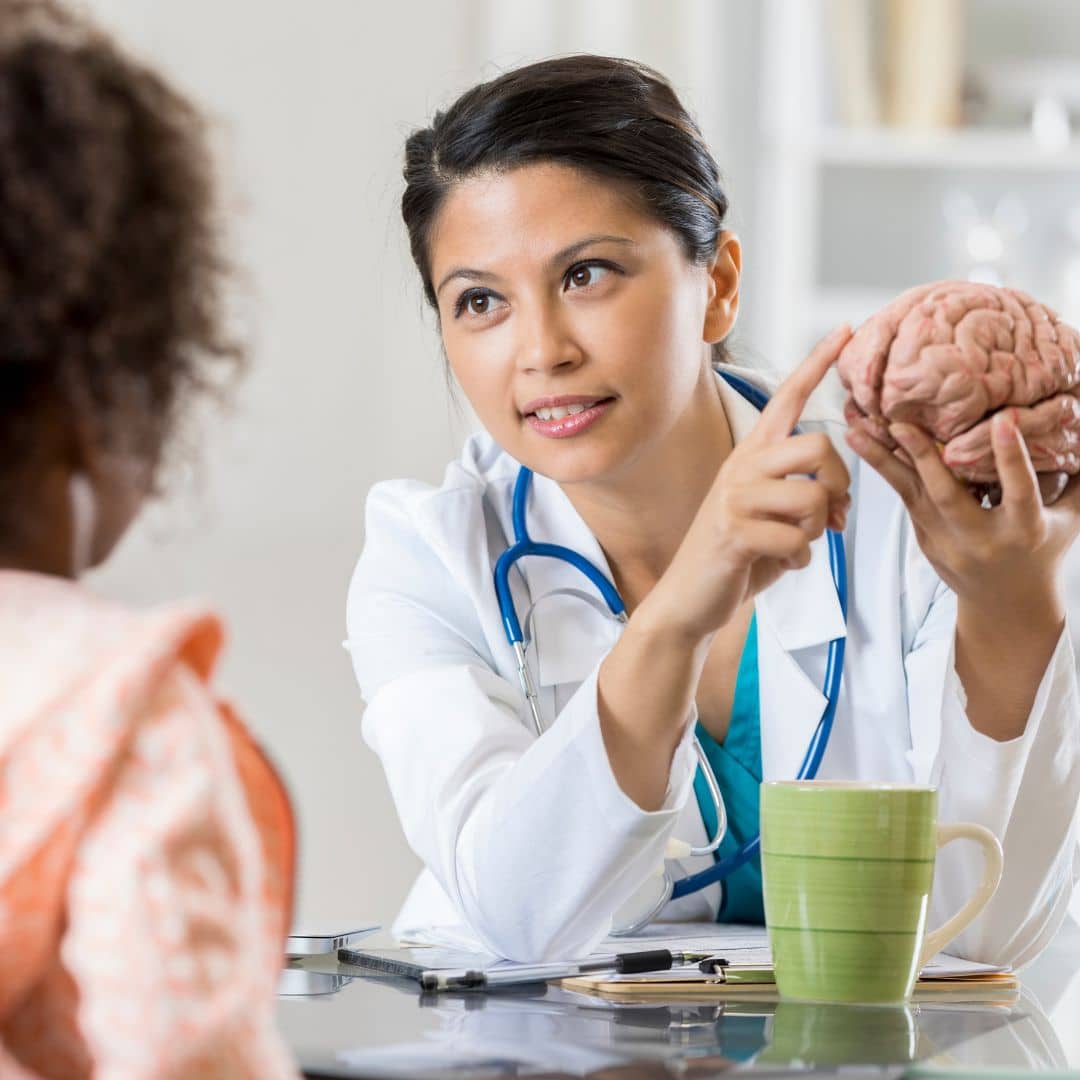 doctor pointing to model of the brain